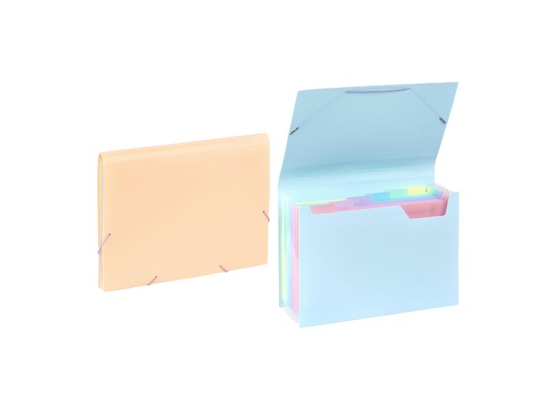 Expanding organizer sa 6 pregrada i gumicom Rainbow Pastel Viquel sortirano