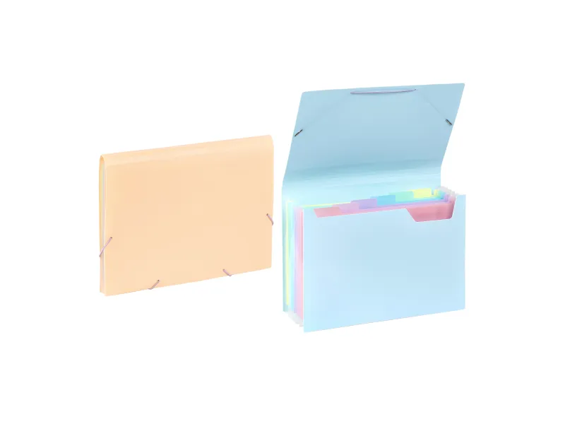 Expanding organizer sa 6 pregrada i gumicom Rainbow Pastel Viquel sortirano