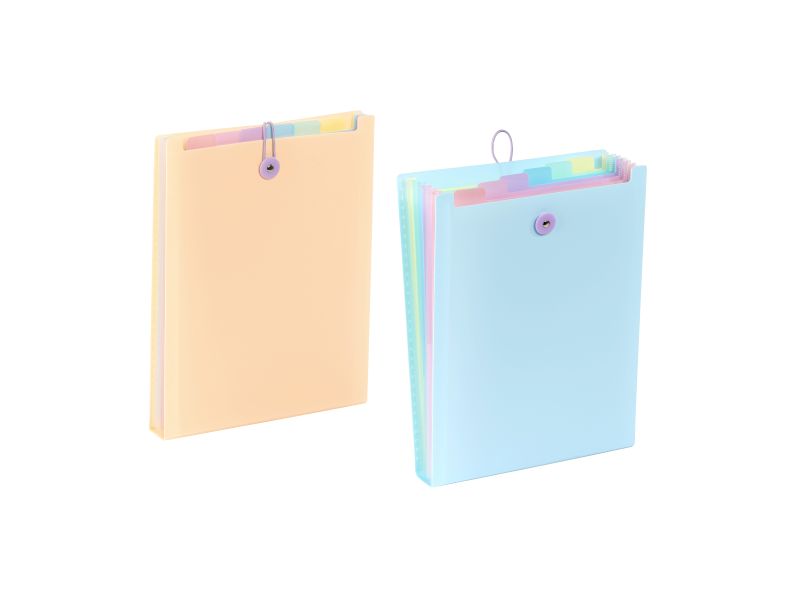 Expanding organizer sa 6 pregrada i gumicom USPRAVNI Rainbow Pastel Viquel sortirano