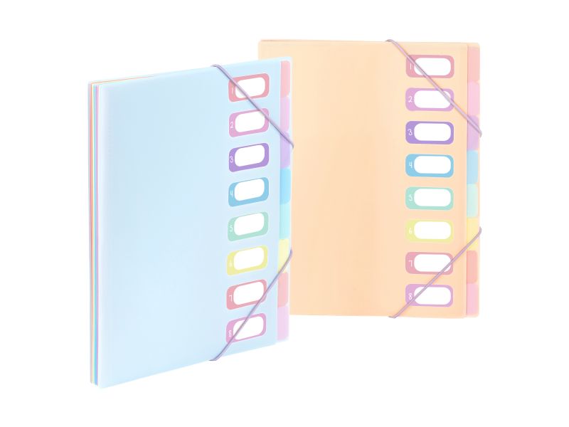 PVC Organiser sa 8 pregrada i gumicom Rainbow Pastel Viquel sortirano