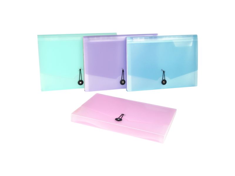 Expanding organizer sa 12 pregrada i gumicom PropySoft Viquel sortirano